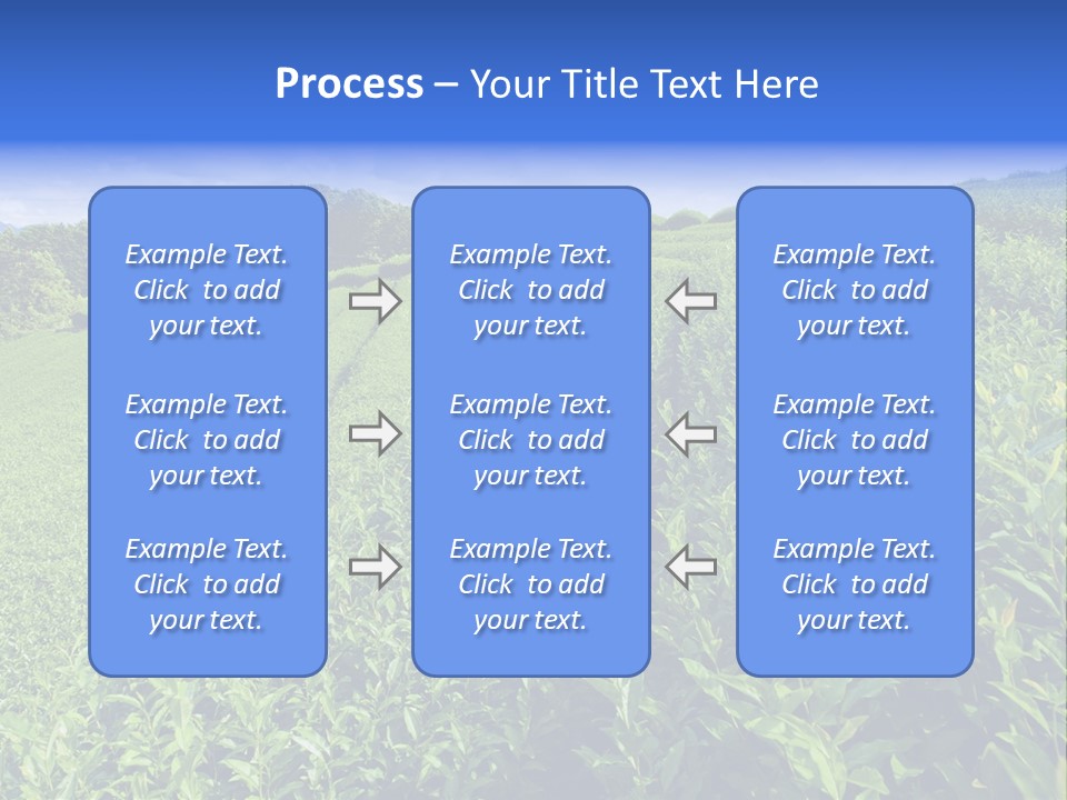 Tea Leaves PowerPoint Template
