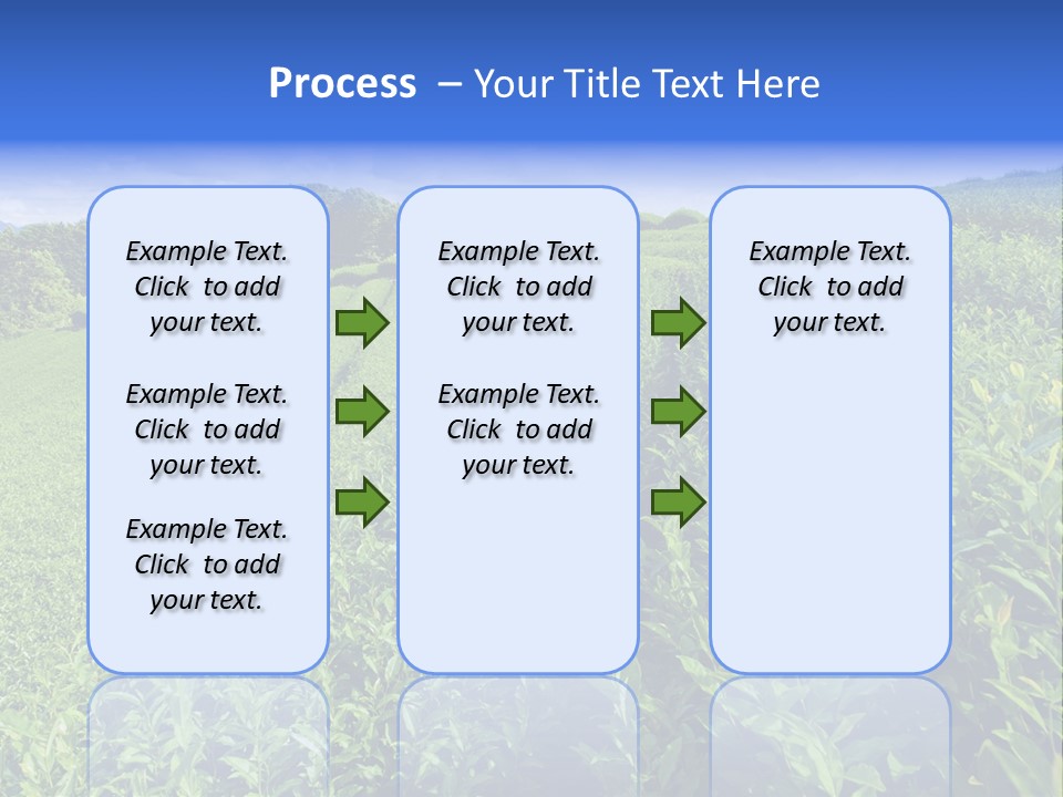 Tea Leaves PowerPoint Template