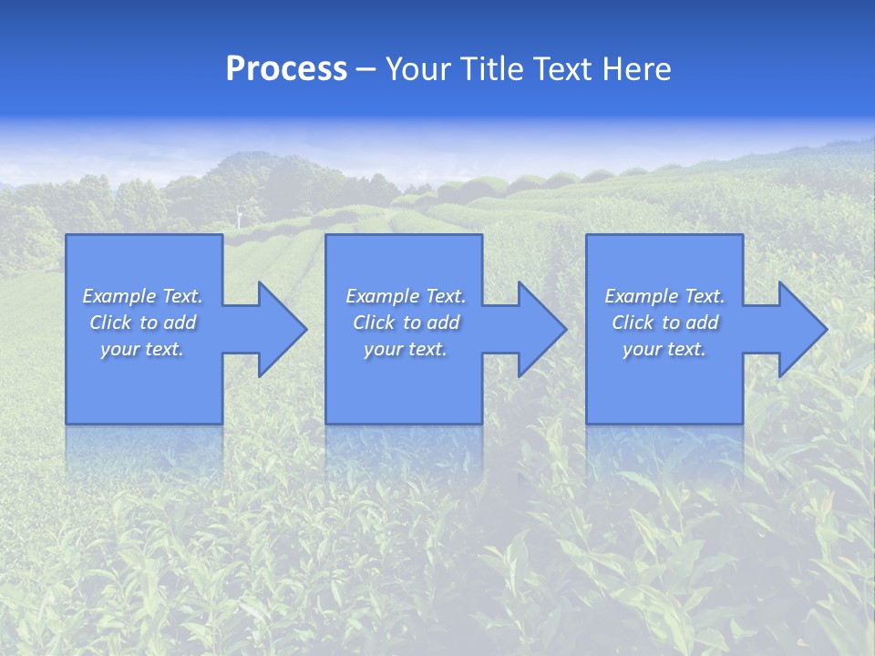 Tea Leaves PowerPoint Template