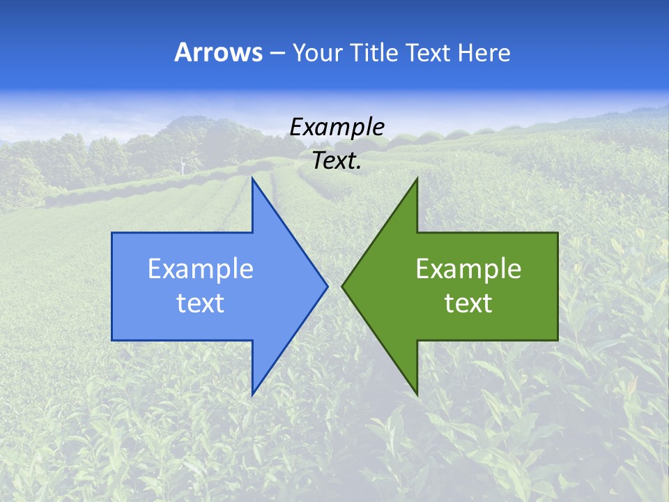 Tea Leaves PowerPoint Template