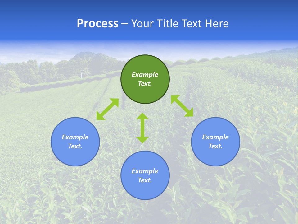 Tea Leaves PowerPoint Template