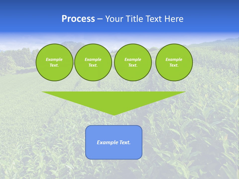 Tea Leaves PowerPoint Template