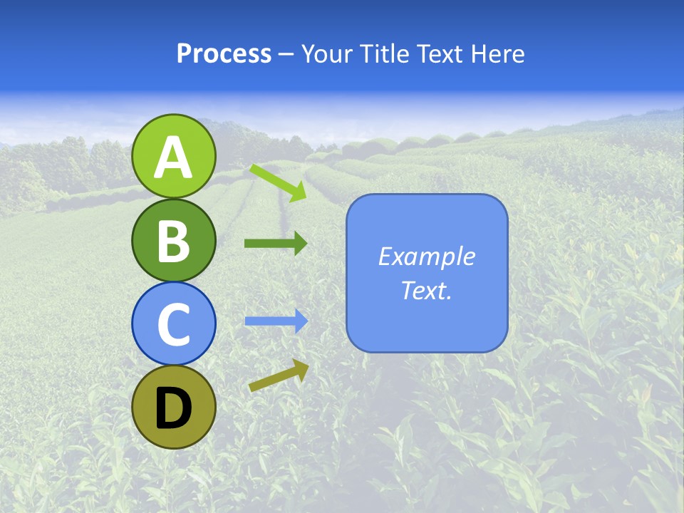 Tea Leaves PowerPoint Template