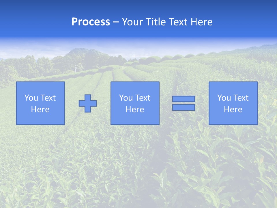 Tea Leaves PowerPoint Template