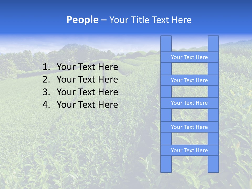 Tea Leaves PowerPoint Template