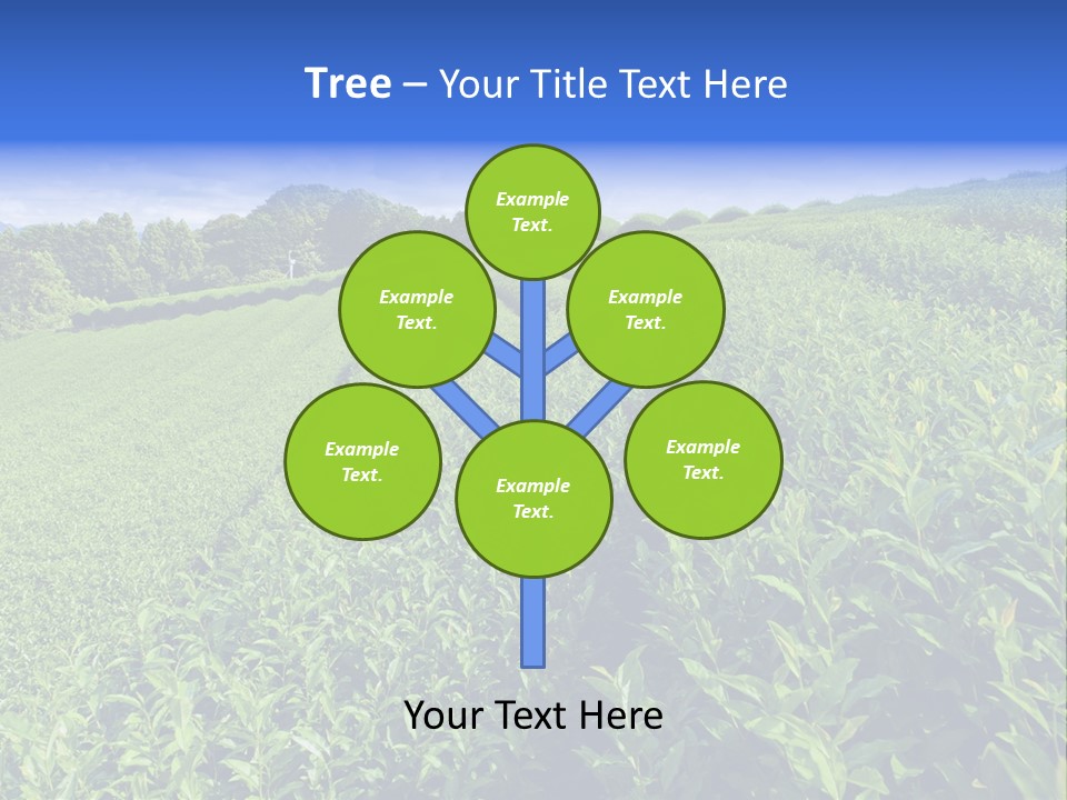 Tea Leaves PowerPoint Template