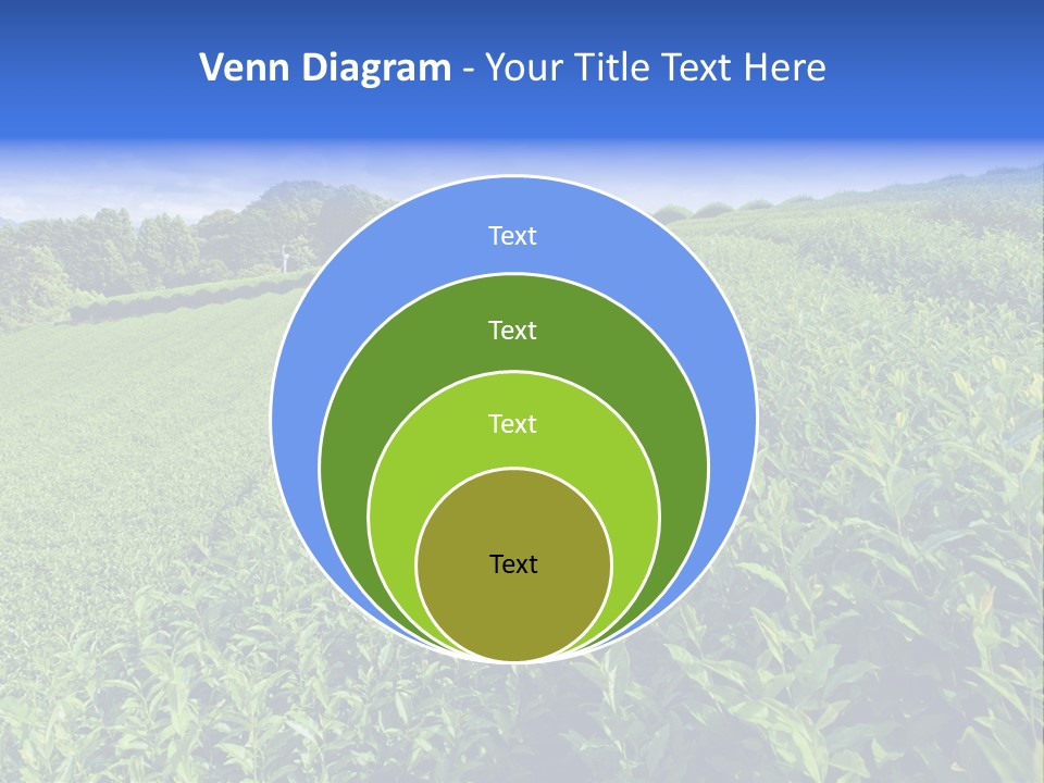 Tea Leaves PowerPoint Template