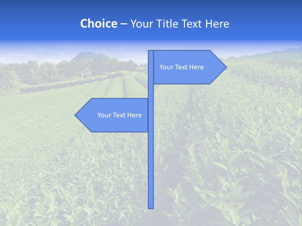 Tea Leaves PowerPoint Template