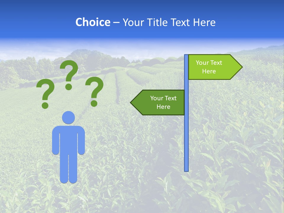 Tea Leaves PowerPoint Template