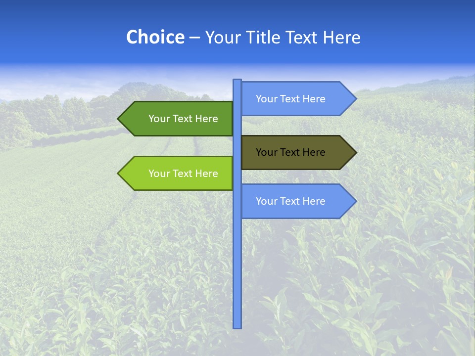 Tea Leaves PowerPoint Template