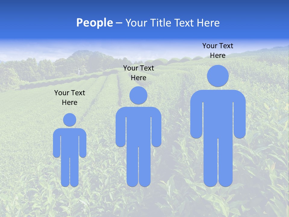 Tea Leaves PowerPoint Template