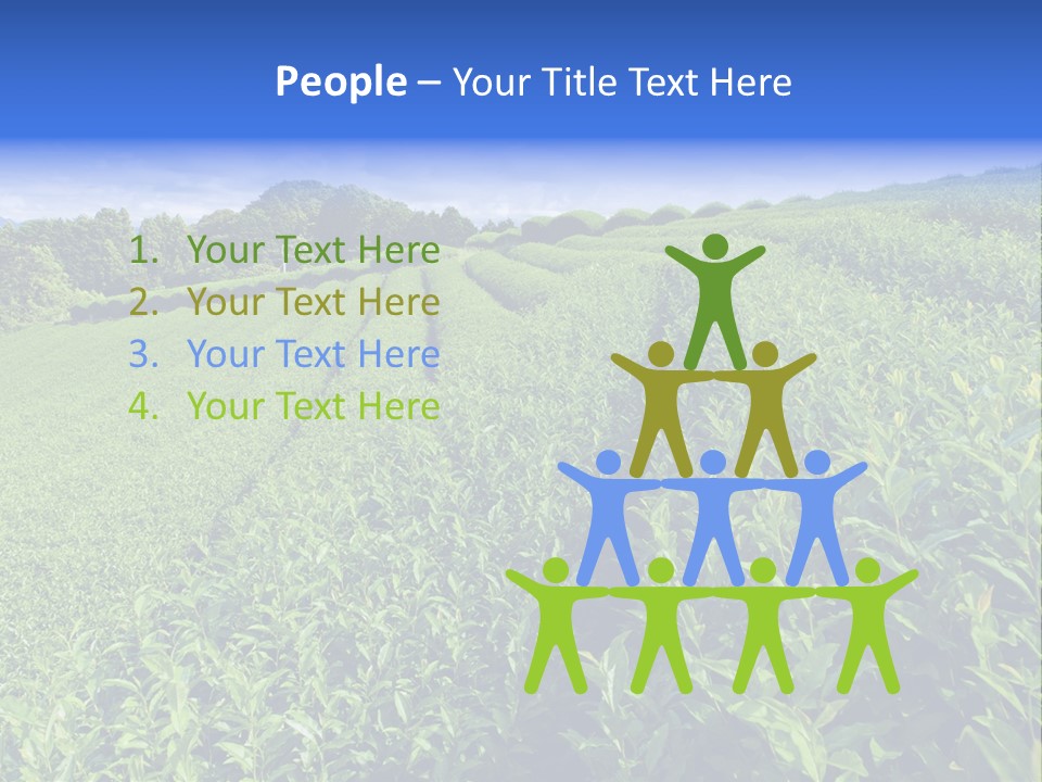 Tea Leaves PowerPoint Template