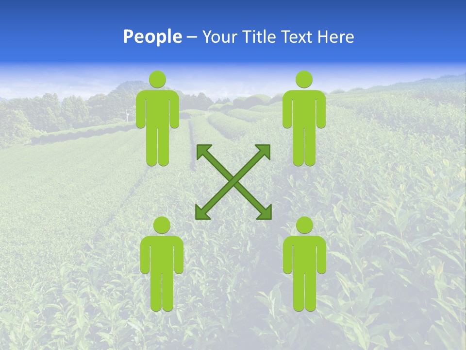 Tea Leaves PowerPoint Template