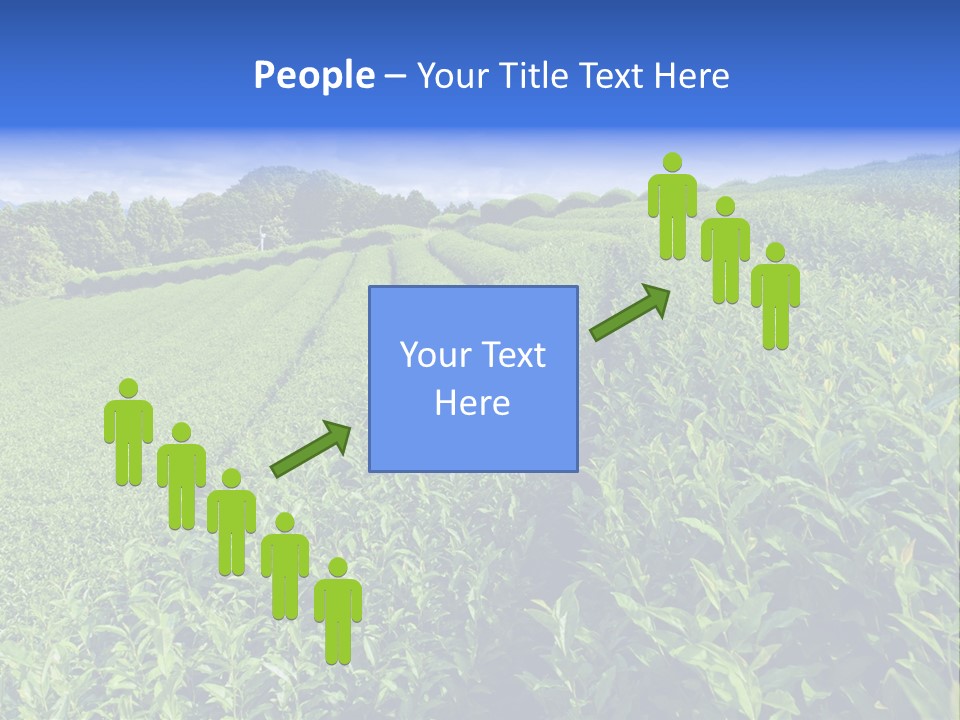 Tea Leaves PowerPoint Template