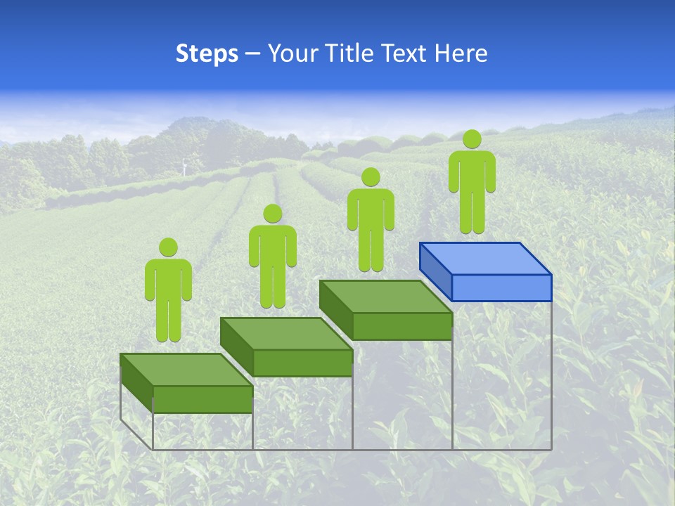 Tea Leaves PowerPoint Template