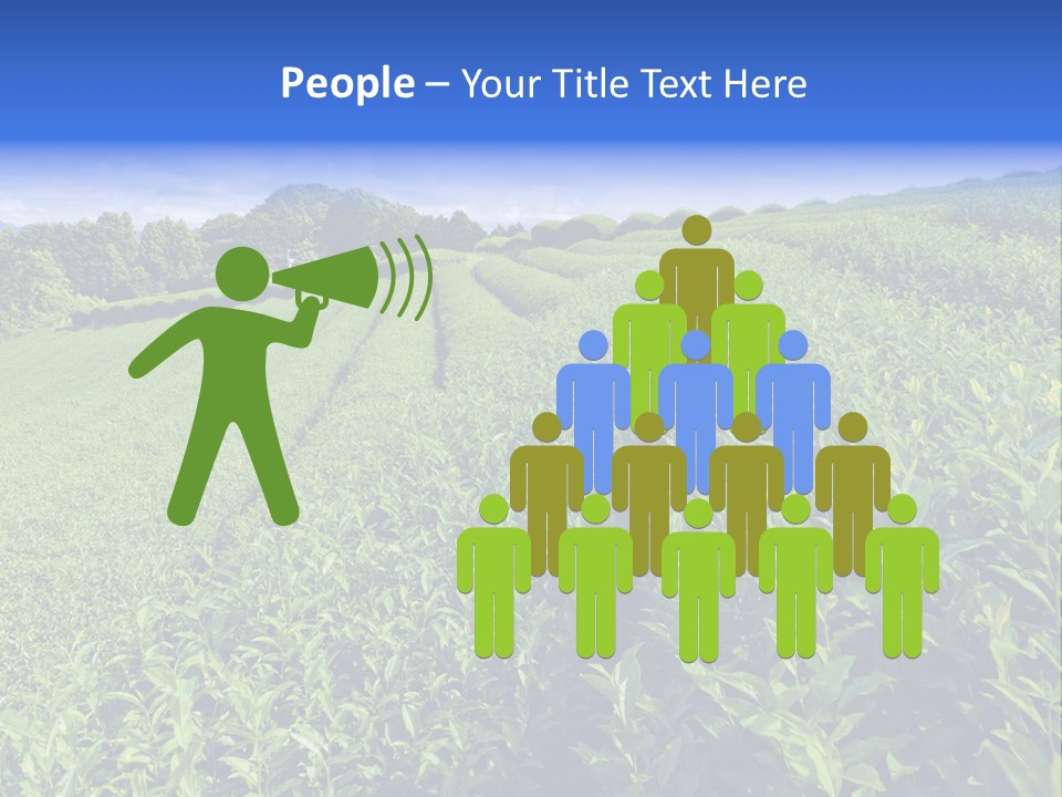 Tea Leaves PowerPoint Template