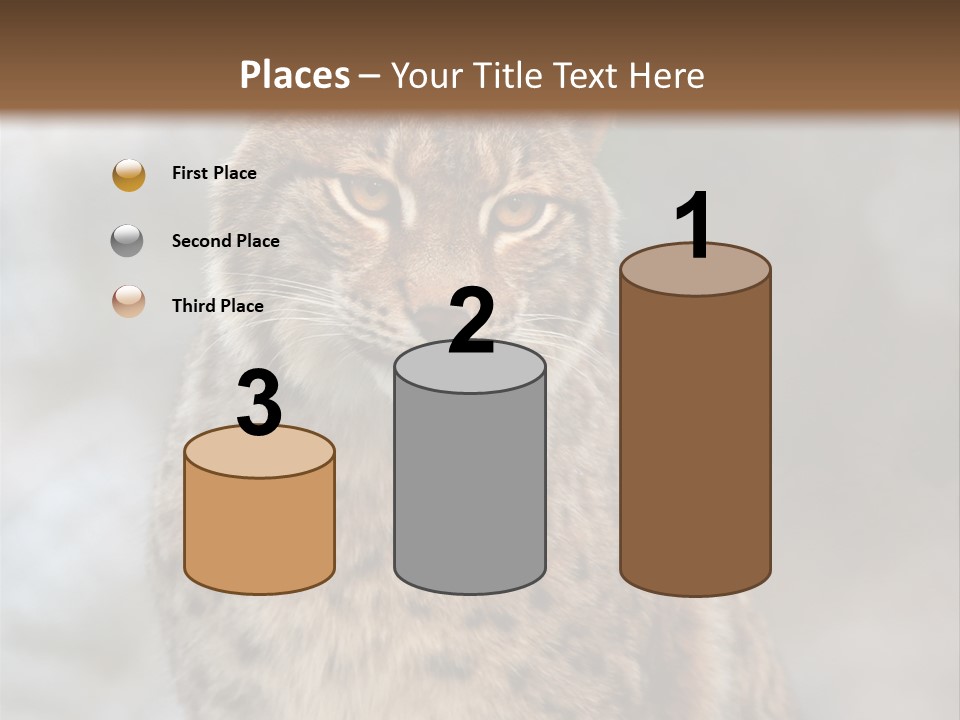 Zoo Food Cat PowerPoint Template