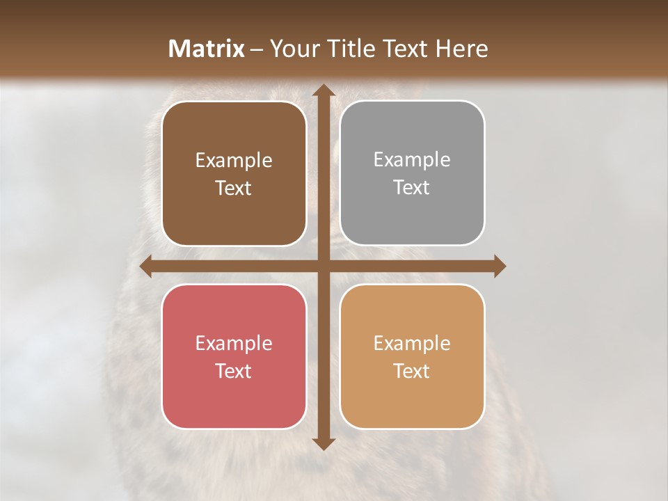 Zoo Food Cat PowerPoint Template