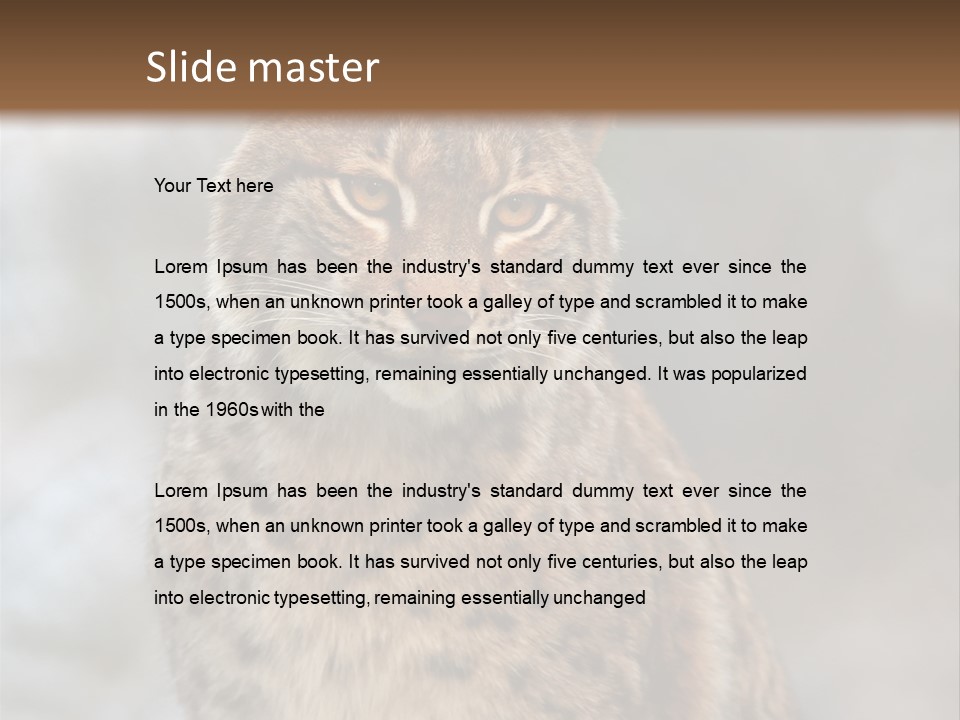 Zoo Food Cat PowerPoint Template