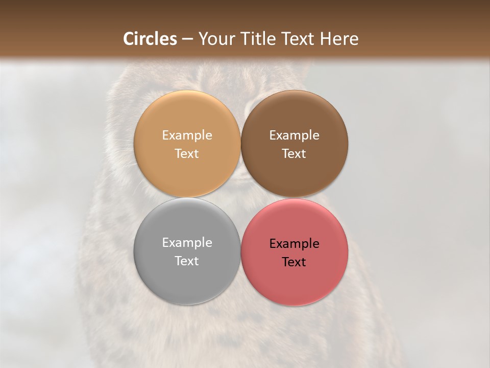 Zoo Food Cat PowerPoint Template