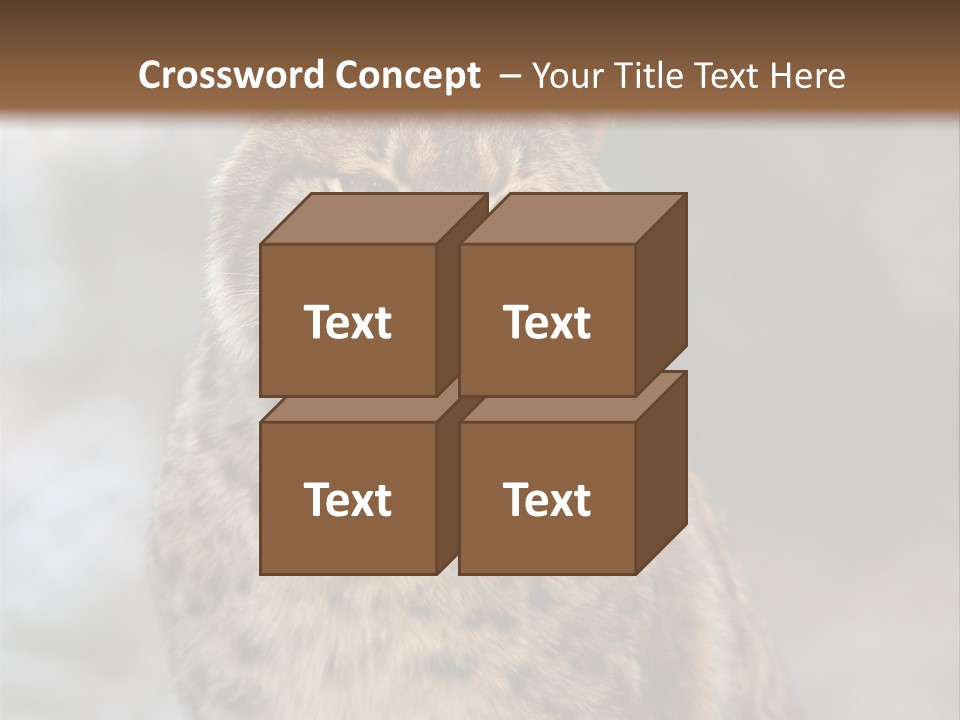 Zoo Food Cat PowerPoint Template