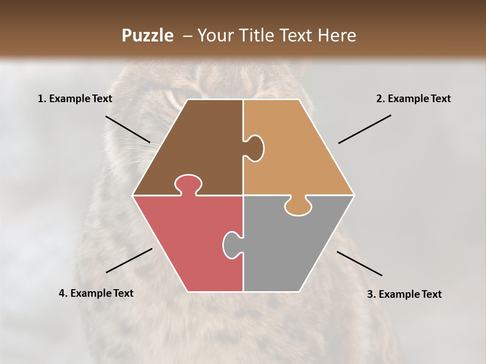 Zoo Food Cat PowerPoint Template