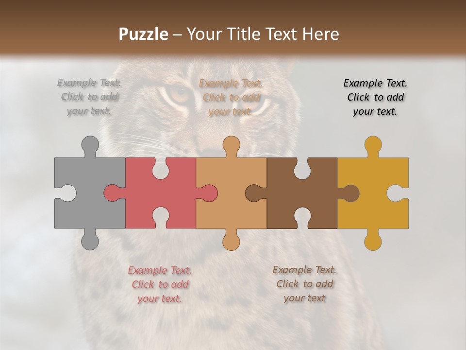 Zoo Food Cat PowerPoint Template