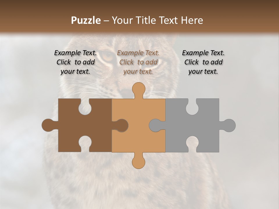 Zoo Food Cat PowerPoint Template