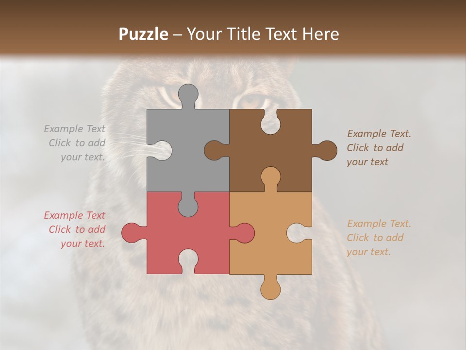 Zoo Food Cat PowerPoint Template