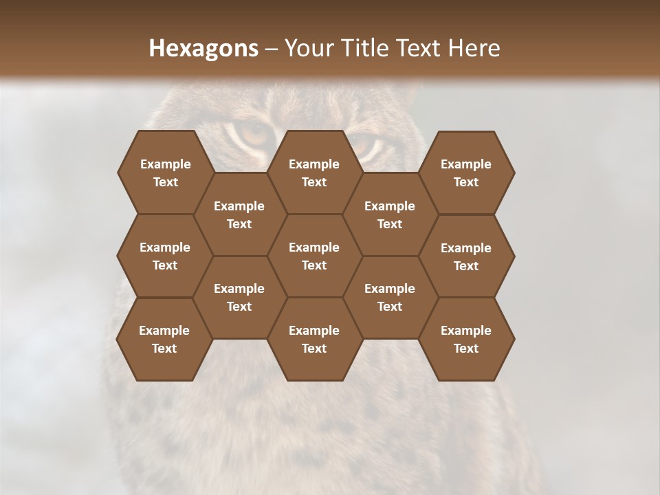 Zoo Food Cat PowerPoint Template