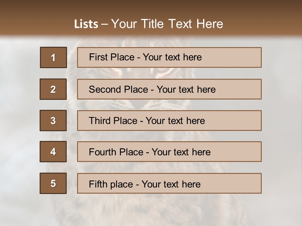 Zoo Food Cat PowerPoint Template