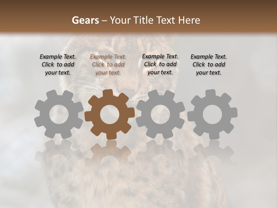 Zoo Food Cat PowerPoint Template