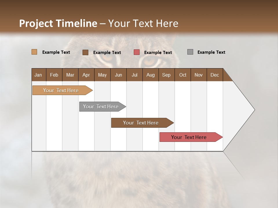 Zoo Food Cat PowerPoint Template