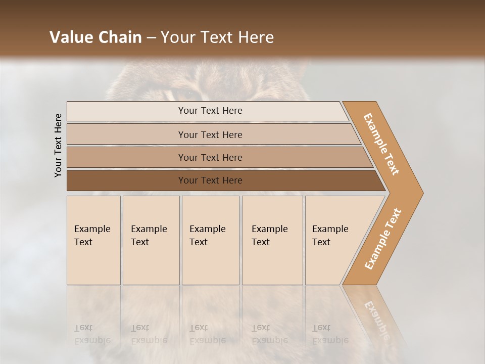 Zoo Food Cat PowerPoint Template