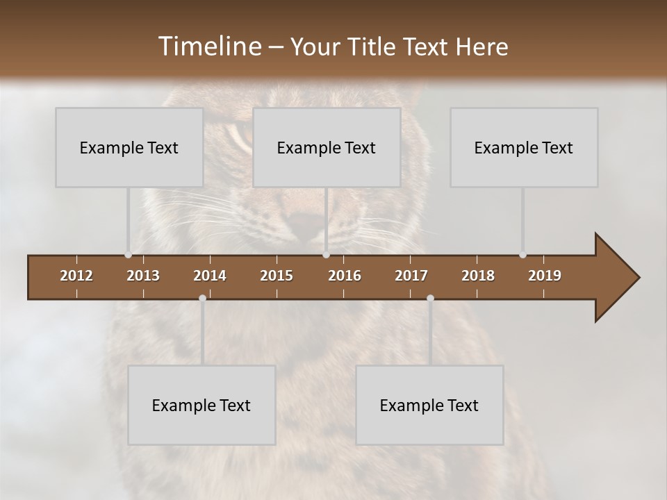 Zoo Food Cat PowerPoint Template