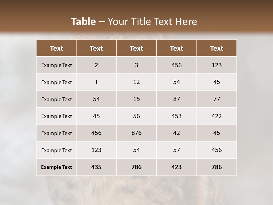 Zoo Food Cat PowerPoint Template