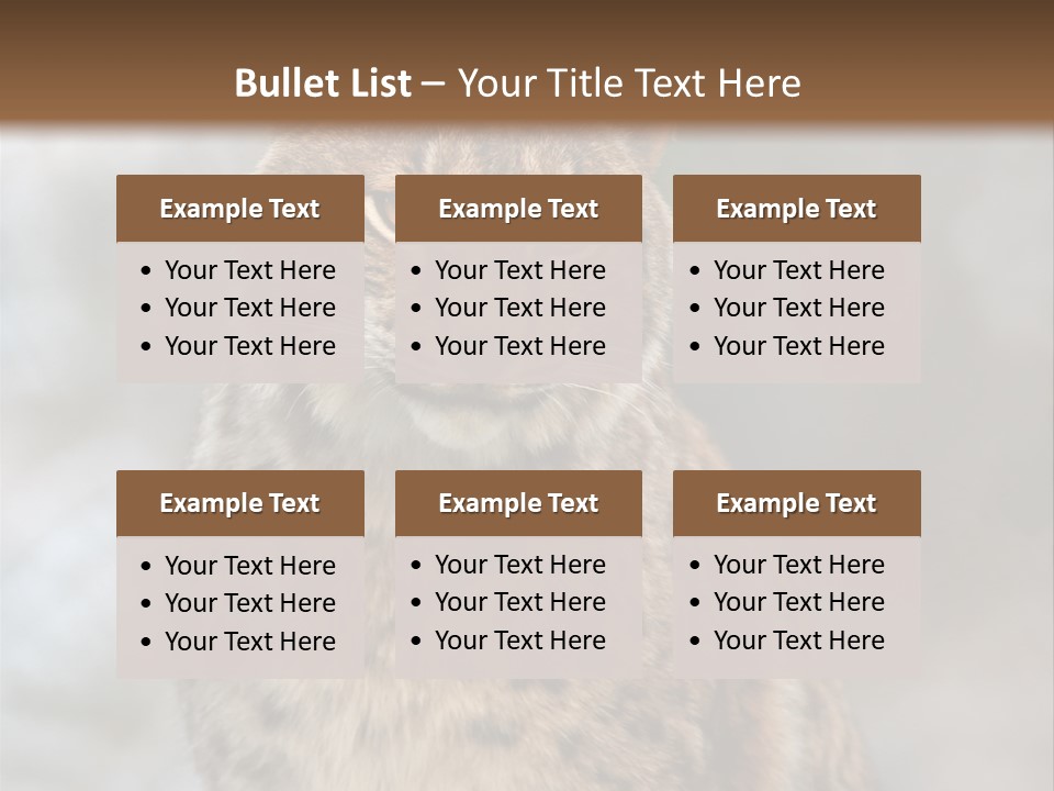 Zoo Food Cat PowerPoint Template