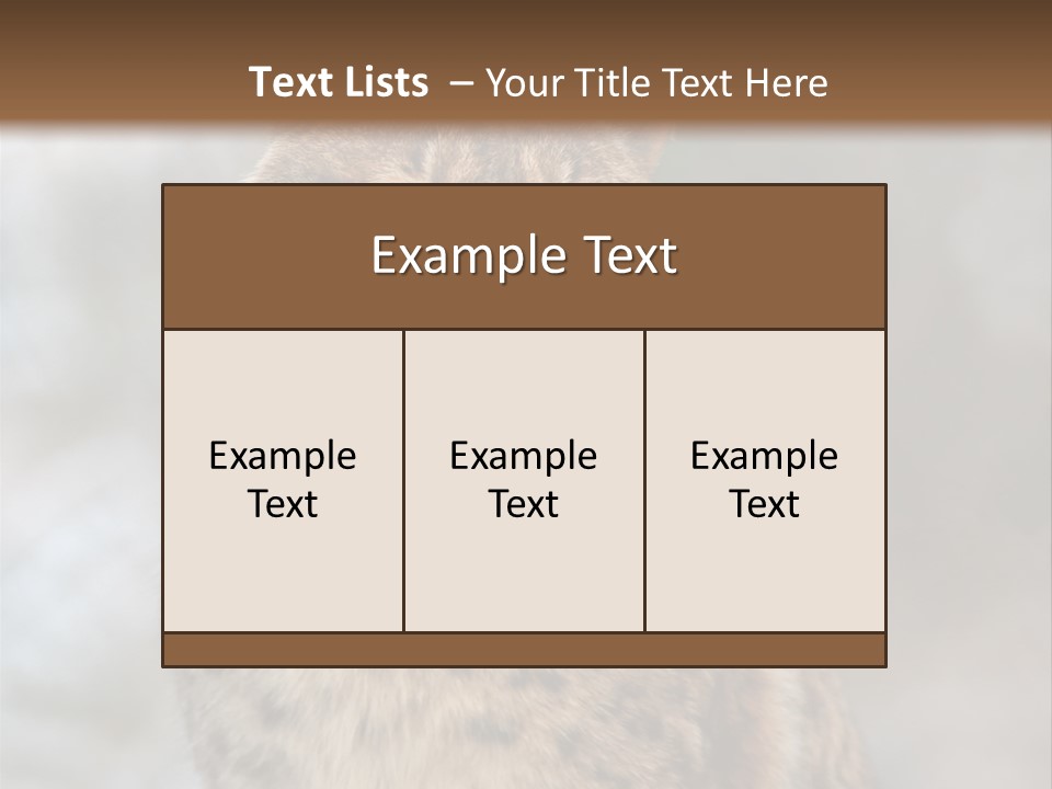 Zoo Food Cat PowerPoint Template