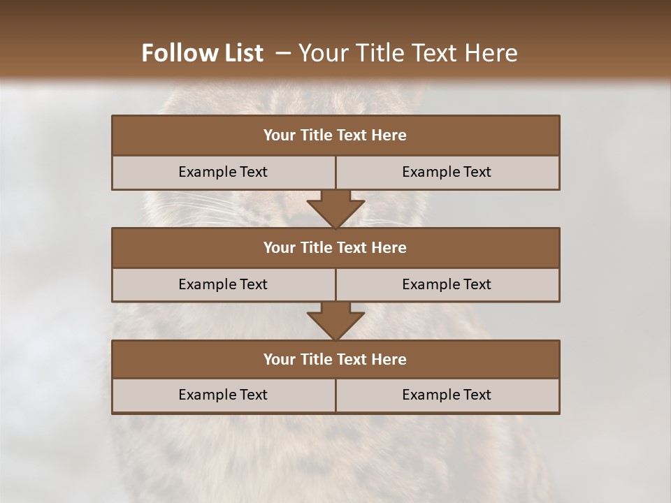 Zoo Food Cat PowerPoint Template