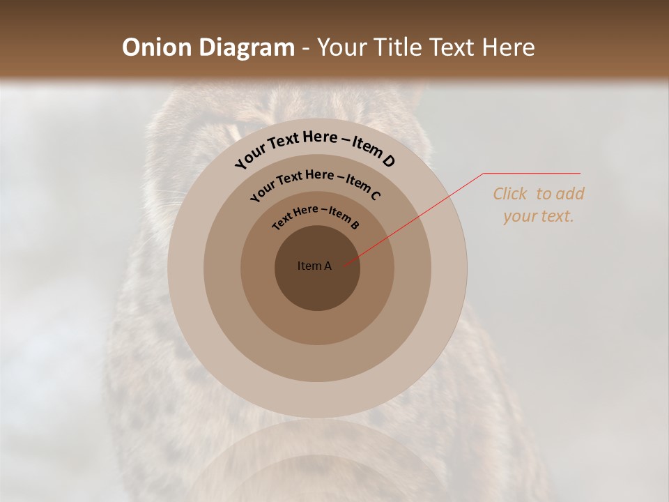 Zoo Food Cat PowerPoint Template