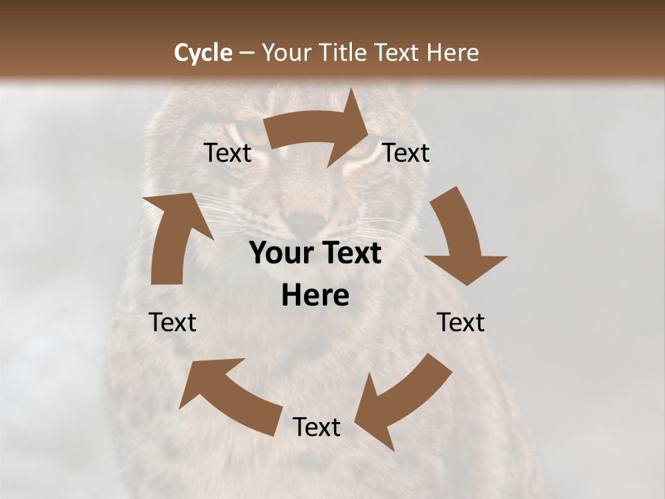 Zoo Food Cat PowerPoint Template