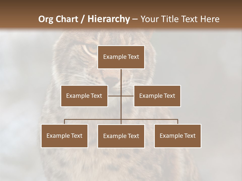 Zoo Food Cat PowerPoint Template