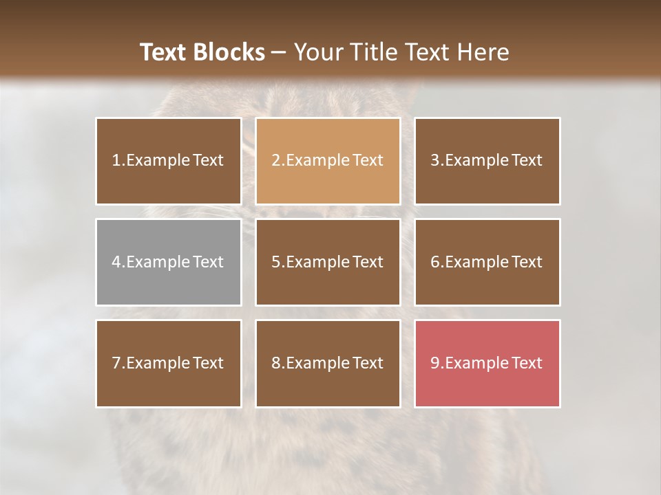 Zoo Food Cat PowerPoint Template