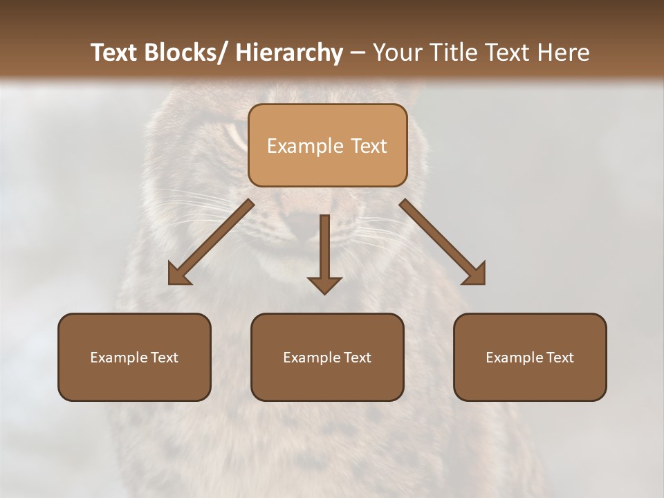 Zoo Food Cat PowerPoint Template