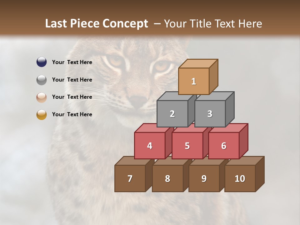 Zoo Food Cat PowerPoint Template