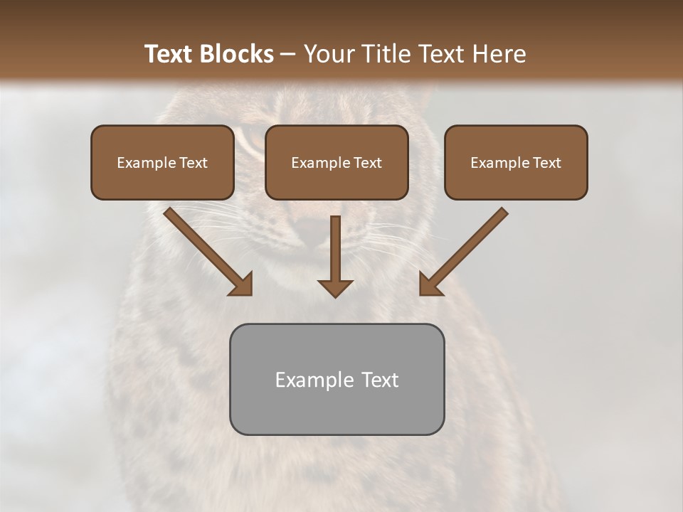 Zoo Food Cat PowerPoint Template