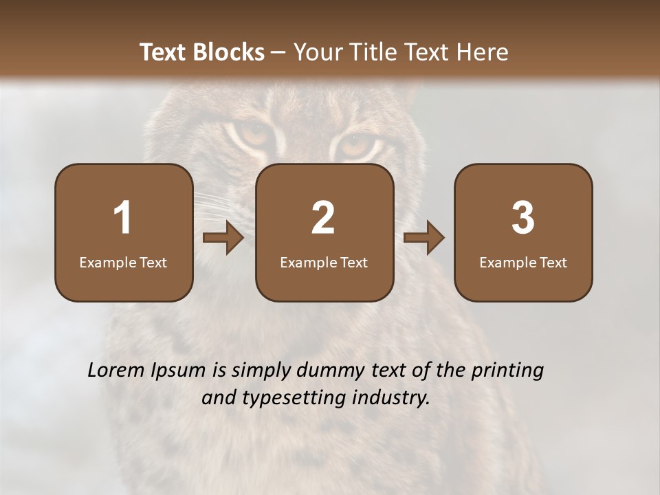 Zoo Food Cat PowerPoint Template