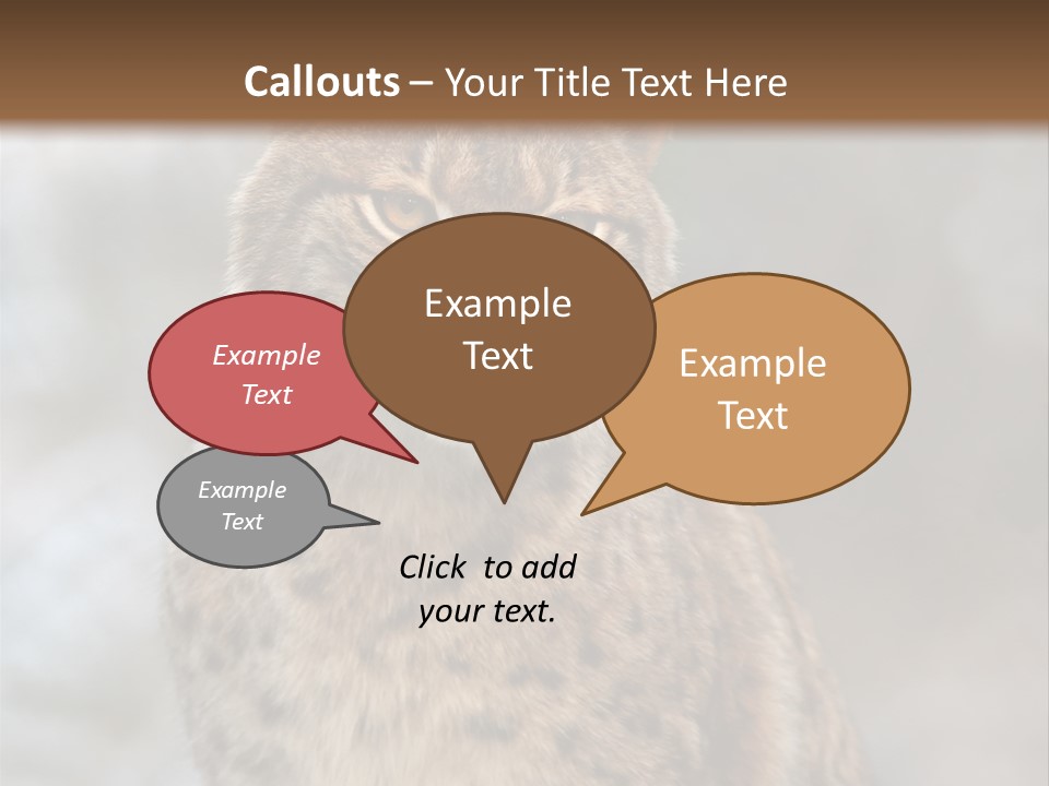 Zoo Food Cat PowerPoint Template