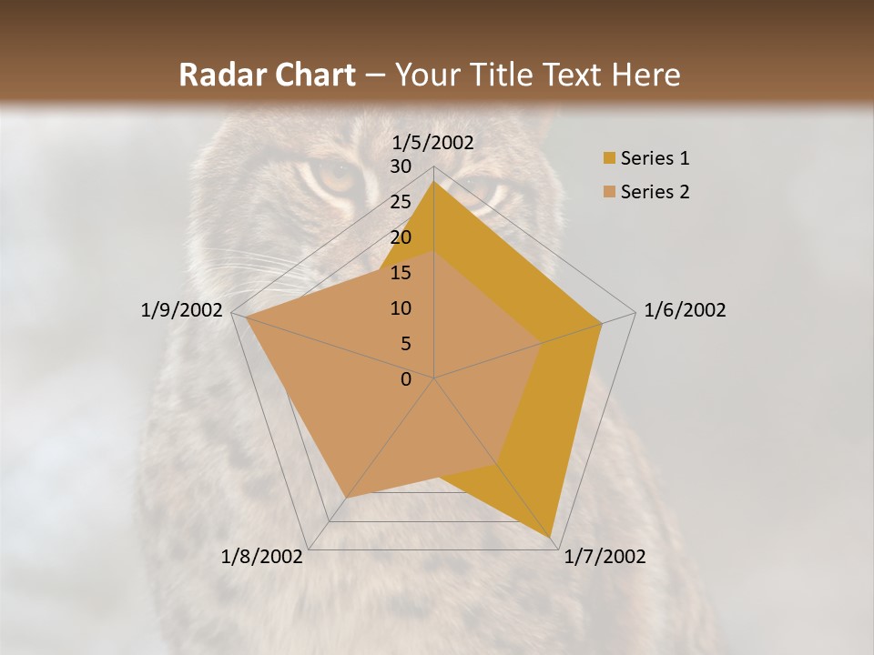 Zoo Food Cat PowerPoint Template