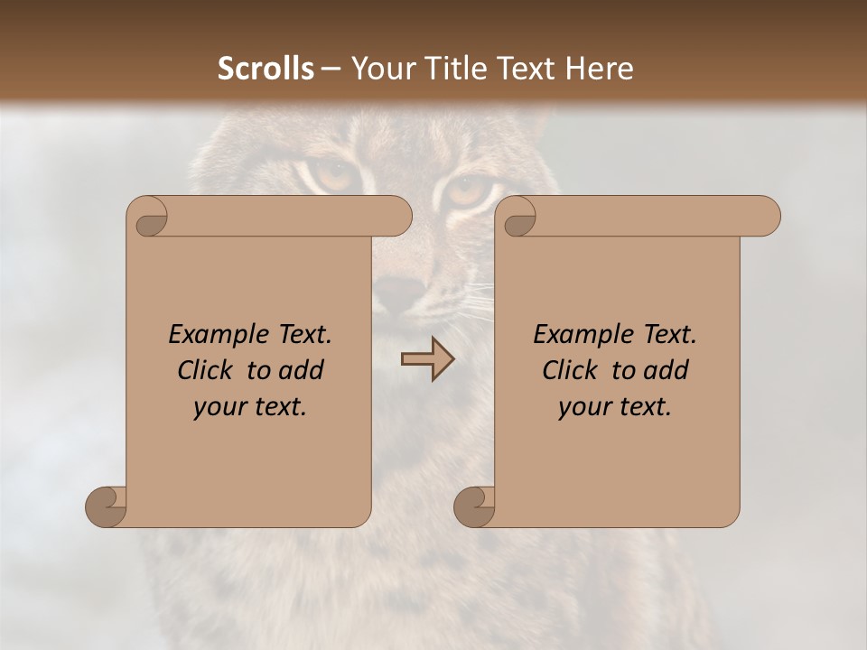 Zoo Food Cat PowerPoint Template